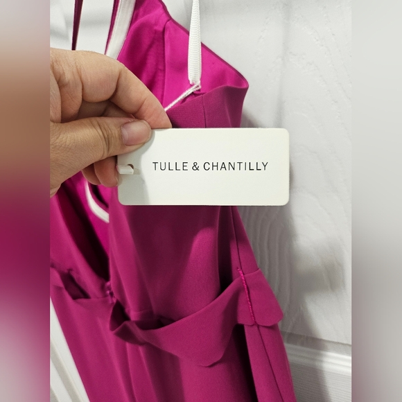 Tulle & Chantilly Pink Formal Gown - Picture 9 of 10